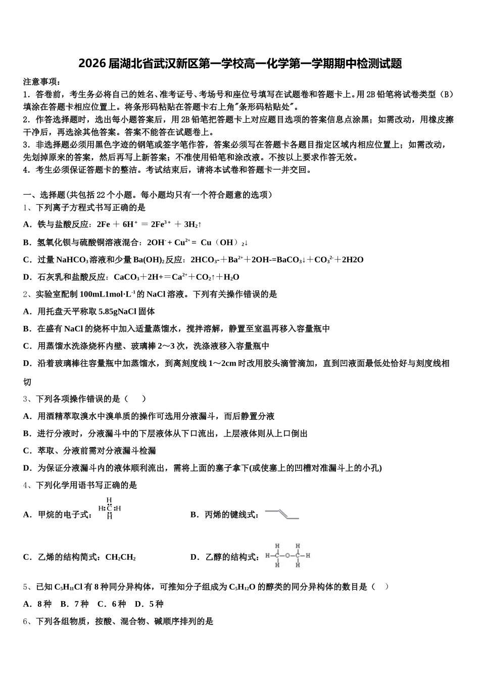 2026届湖北省武汉新区第一学校高一化学第一学期期中检测试题含解析_第1页