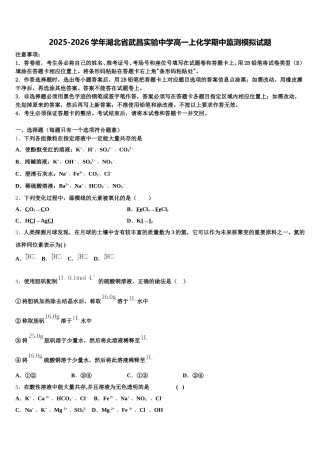 2025-2026学年湖北省武昌实验中学高一上化学期中监测模拟试题含解析