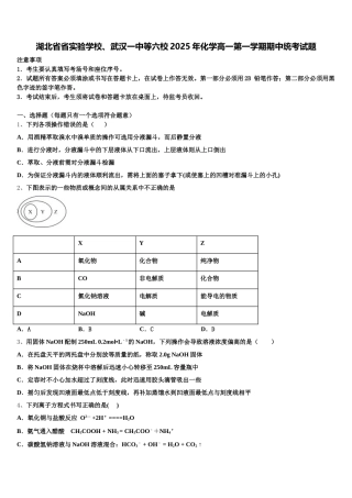 湖北省省实验学校、武汉一中等六校2025年化学高一第一学期期中统考试题含解析