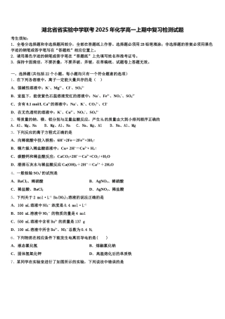湖北省省实验中学联考2025年化学高一上期中复习检测试题含解析