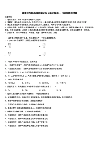 湖北省东风高级中学2025年化学高一上期中预测试题含解析
