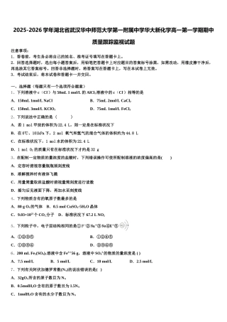 2025-2026学年湖北省武汉华中师范大学第一附属中学华大新化学高一第一学期期中质量跟踪监视试题含解析