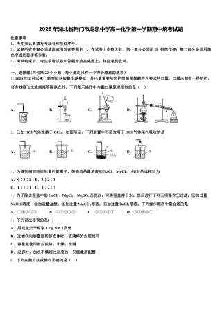 2025年湖北省荆门市龙泉中学高一化学第一学期期中统考试题含解析