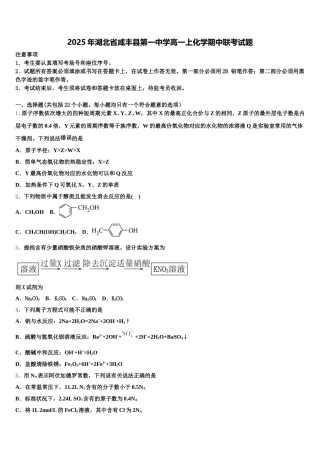 2025年湖北省咸丰县第一中学高一上化学期中联考试题含解析