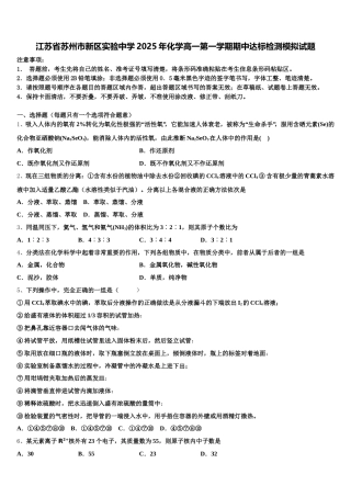 江苏省苏州市新区实验中学2025年化学高一第一学期期中达标检测模拟试题含解析