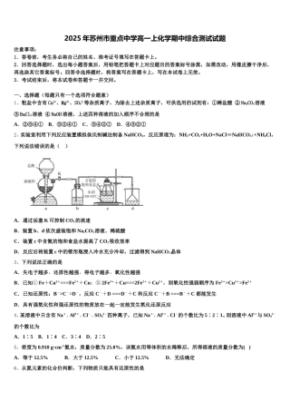 2025年苏州市重点中学高一上化学期中综合测试试题含解析