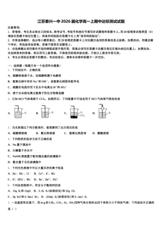 江苏泰兴一中2026届化学高一上期中达标测试试题含解析