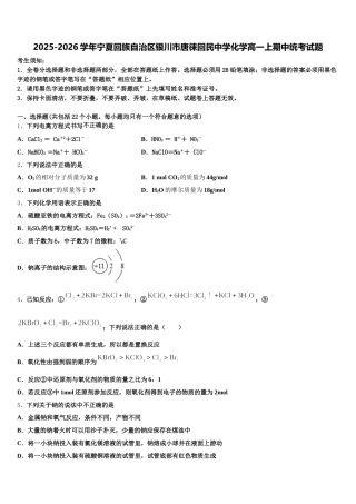 2025-2026学年宁夏回族自治区银川市唐徕回民中学化学高一上期中统考试题含解析