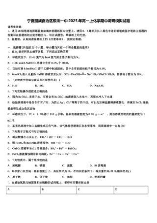 宁夏回族自治区银川一中2025年高一上化学期中调研模拟试题含解析