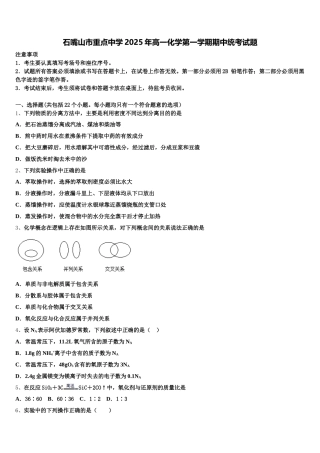 石嘴山市重点中学2025年高一化学第一学期期中统考试题含解析