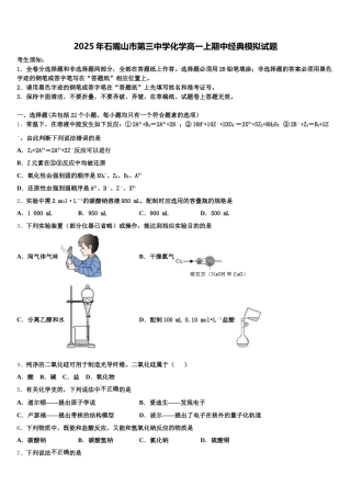 2025年石嘴山市第三中学化学高一上期中经典模拟试题含解析