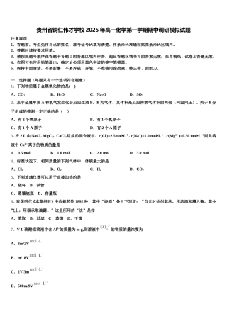 贵州省铜仁伟才学校2025年高一化学第一学期期中调研模拟试题含解析
