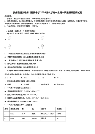 贵州省遵义市务川民族中学2026届化学高一上期中质量跟踪监视试题含解析
