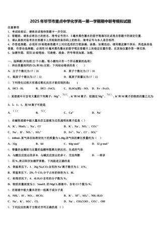 2025年毕节市重点中学化学高一第一学期期中联考模拟试题含解析