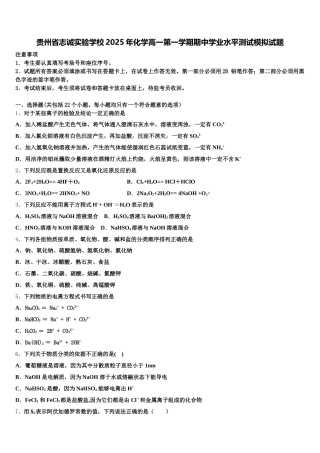 贵州省志诚实验学校2025年化学高一第一学期期中学业水平测试模拟试题含解析