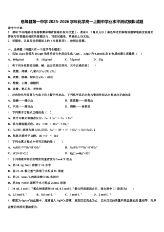 息烽县第一中学2025-2026学年化学高一上期中学业水平测试模拟试题含解析