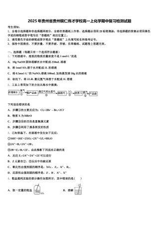 2025年贵州省贵州铜仁伟才学校高一上化学期中复习检测试题含解析