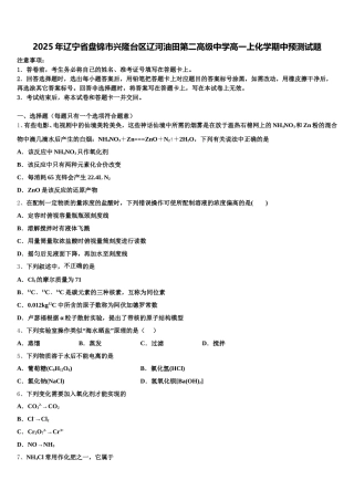 2025年辽宁省盘锦市兴隆台区辽河油田第二高级中学高一上化学期中预测试题含解析