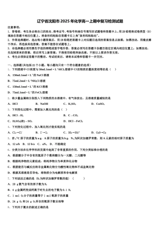 辽宁省沈阳市2025年化学高一上期中复习检测试题含解析