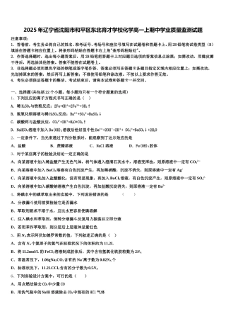2025年辽宁省沈阳市和平区东北育才学校化学高一上期中学业质量监测试题含解析