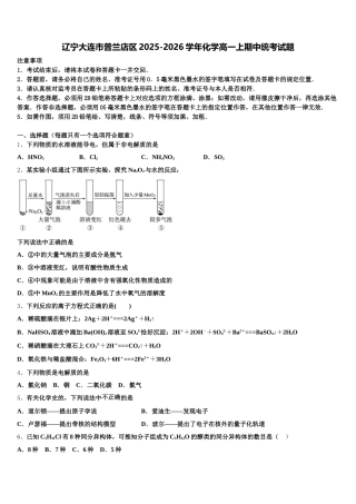 辽宁大连市普兰店区2025-2026学年化学高一上期中统考试题含解析