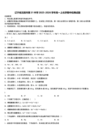 辽宁省沈阳市第31中学2025-2026学年高一上化学期中经典试题含解析