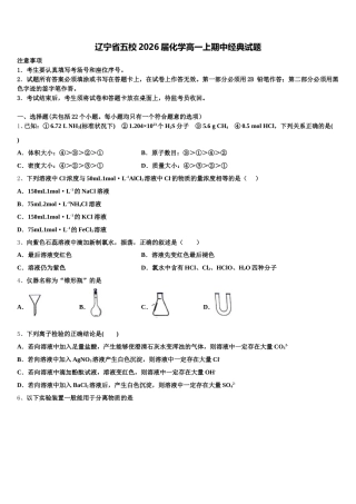 辽宁省五校2026届化学高一上期中经典试题含解析