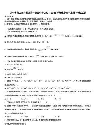 辽宁省营口市开发区第一高级中学2025-2026学年化学高一上期中考试试题含解析