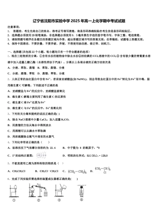 辽宁省沈阳市实验中学2025年高一上化学期中考试试题含解析