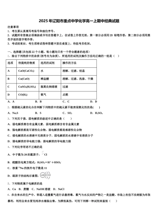 2025年辽阳市重点中学化学高一上期中经典试题含解析