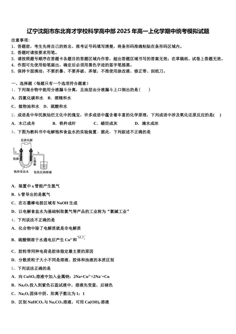 辽宁沈阳市东北育才学校科学高中部2025年高一上化学期中统考模拟试题含解析_第1页