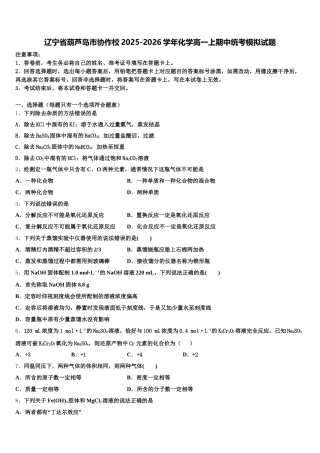 辽宁省葫芦岛市协作校2025-2026学年化学高一上期中统考模拟试题含解析