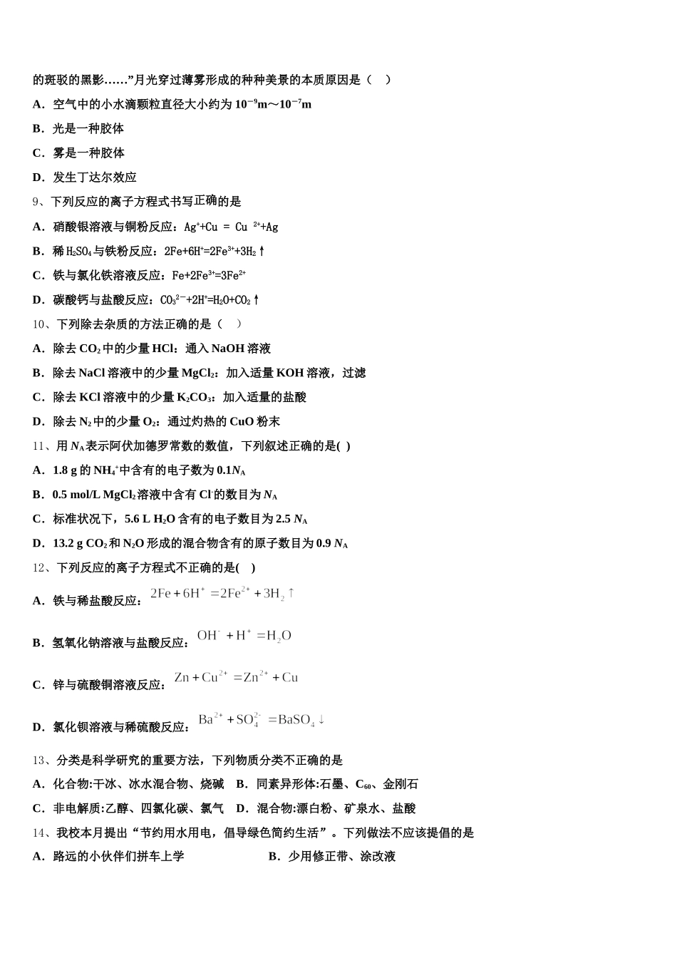 2026届沈阳外国语学校高一上化学期中达标检测试题含解析_第2页