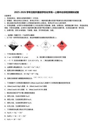 2025-2026学年沈阳外国语学校化学高一上期中达标检测模拟试题含解析