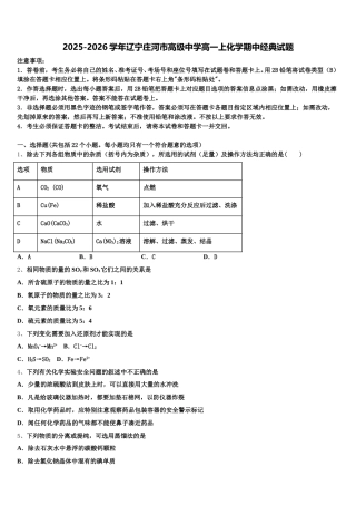 2025-2026学年辽宁庄河市高级中学高一上化学期中经典试题含解析
