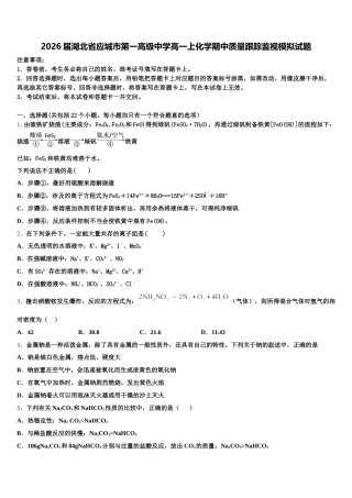 2026届湖北省应城市第一高级中学高一上化学期中质量跟踪监视模拟试题含解析