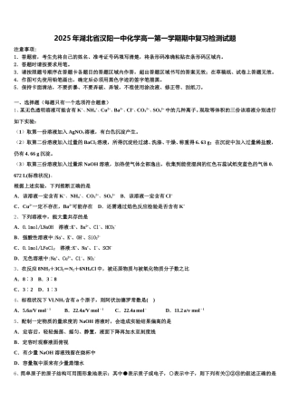 2025年湖北省汉阳一中化学高一第一学期期中复习检测试题含解析