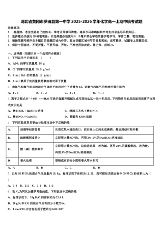 湖北省黄冈市罗田县第一中学2025-2026学年化学高一上期中统考试题含解析