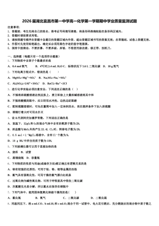 2026届湖北宜昌市第一中学高一化学第一学期期中学业质量监测试题含解析