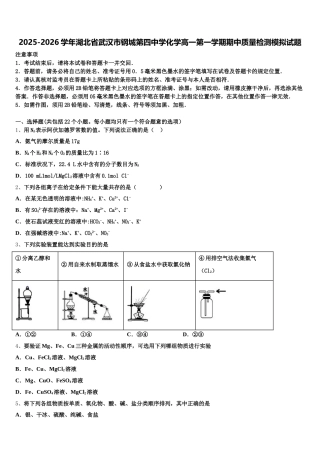 2025-2026学年湖北省武汉市钢城第四中学化学高一第一学期期中质量检测模拟试题含解析