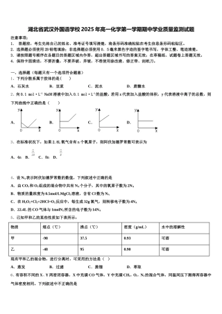 湖北省武汉外国语学校2025年高一化学第一学期期中学业质量监测试题含解析