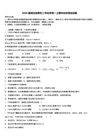 2026届湖北省黄石二中化学高一上期中达标测试试题含解析