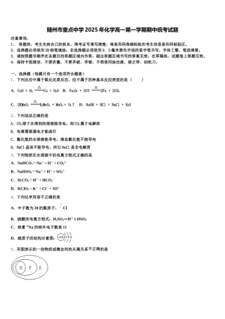 随州市重点中学2025年化学高一第一学期期中统考试题含解析
