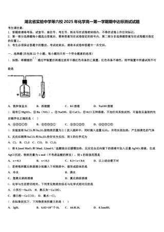 湖北省实验中学等六校2025年化学高一第一学期期中达标测试试题含解析