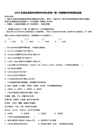 2025年湖北省荆州市荆州中学化学高一第一学期期中统考模拟试题含解析