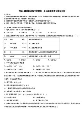 2026届湖北省名校联盟高一上化学期中考试模拟试题含解析