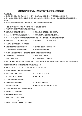湖北省鄂州高中2025年化学高一上期中复习检测试题含解析