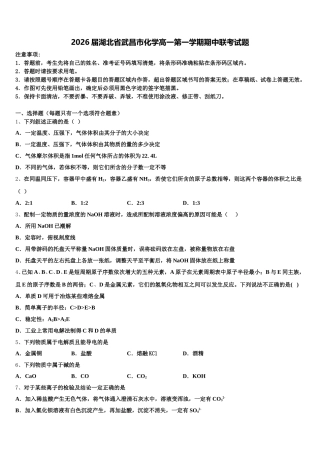 2026届湖北省武昌市化学高一第一学期期中联考试题含解析