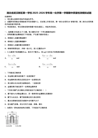 湖北省武汉新区第一学校2025-2026学年高一化学第一学期期中质量检测模拟试题含解析