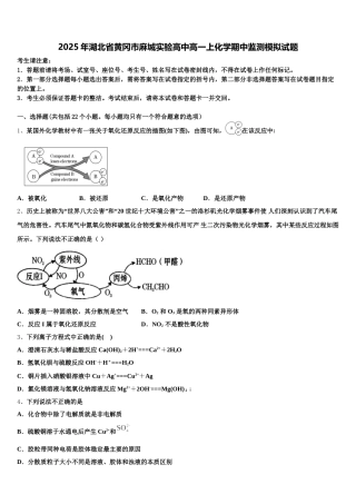 2025年湖北省黄冈市麻城实验高中高一上化学期中监测模拟试题含解析
